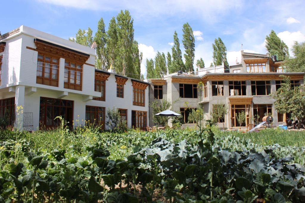Jimmy'S Homestay Leh Exteriör bild