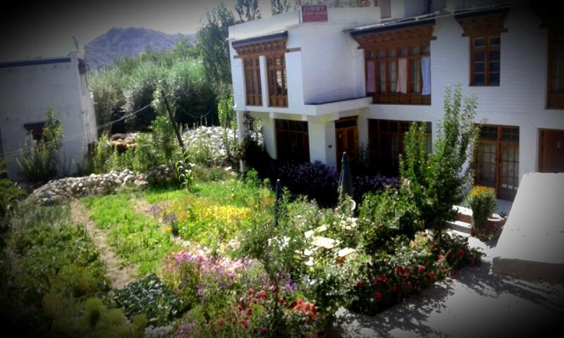 Jimmy'S Homestay Leh Exteriör bild